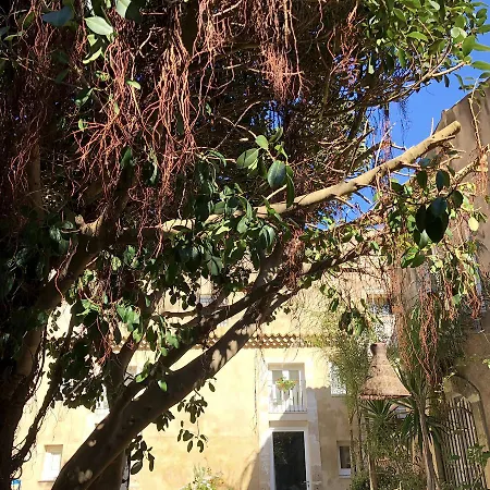 Ortigia 3*